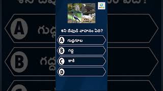 Interesting Questions InTelugu/ Lord Shani Dev Vahan /#shorts /#teluguquiz