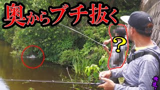 A super-intense guide to conquering wild ponds with a pond expert and Takuma Hata!