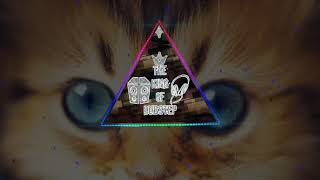 HE!DE - Cult (The King Of Dubstep)