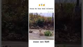 Focus On Your Goal #goals #motivation #success #nature #emotional #exam #target #shorts #video