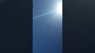 Vintage war planes
