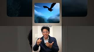 Have You Tried Google's NEW AI Video Generation Tool Yet? [Veo 3]