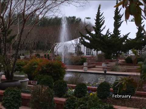 Clark Gardens - Winter 2009/10