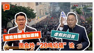 集会现场留20公吨垃圾？伊青团长质疑倪可敏言论