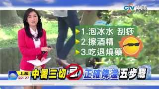 【中視新聞】中暑冰水急降溫不成 體溫反升高 20150607