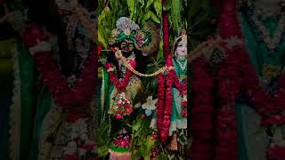 #radheshyam #song #love #devotionalsongs #latestbhajan