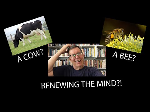 A Cow and a Bee Taught Jesus How to Renew His Mind!