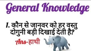 Q.K Quiz