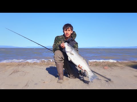 Surf Fishing For STRIPED BASS In The Bay Area