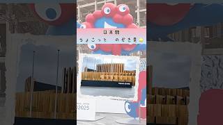 【万博】日本館 ちょこっと のぞき見🌟