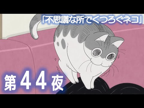 アニメ『夜は猫といっしょ』第44夜「不思議な所でくつろぐネコ」