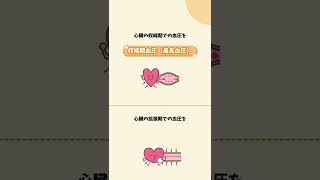 #血圧 #血圧を下げる #解剖生理学 #解剖学 #生理学 #循環器