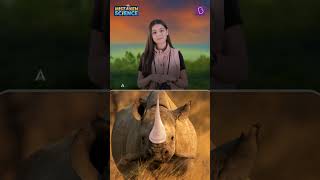 Is The Rhinoceros Horn A Bone? | BYJU'S Mistaken Science