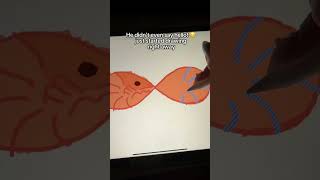 #applepencil #artworkout #digitaldrawing #digitalart #ipadapps #ipad #multiplayer #drawwithme