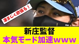 新庄監督、本気モード加速！！！【なんJなんG】【2ch5ch】