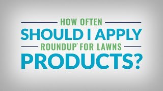 Using Roundup for Southern Lawns Properly - How Often Can I Apply?