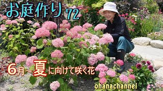 【庭作り72】過酷な環境でも、今年も咲いてくれた花❁ 6月から夏に向けて咲く花、アジサイ、アナベル、多年草の植込みなど