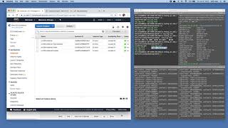 CS122B Project5 Demo Shiji Zhao (With Audio)