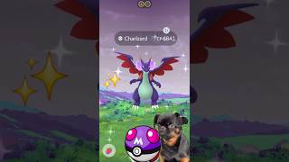 ポケモンGOで✨️色違いメガリザードンXを手に入れたとき🥲