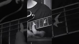 Made in France #gypsyjazzguitar #gypsyjazz #birelilagrene #sylvainluc