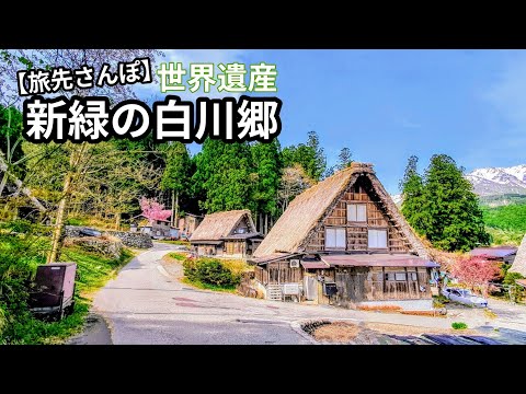 Walking around the World Heritage Site Shirakawa-go | Gassho-zukuri and beautiful nature in spring