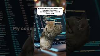 When ctrl + Z saves your code  #techmeme #coding #programming  #codingmeme #ithumor