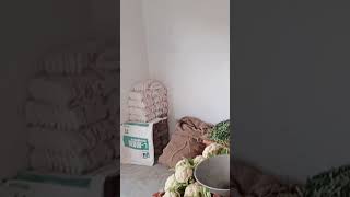 😂 Funny video 😝 #Hakimkhanniazi #Sajoobhai#Lajpal #Ramzan#khizeromar #Khizar #khizerumer #vellamunda