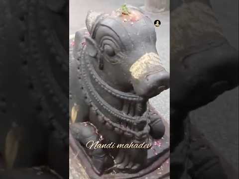 Nandi Mahadev #short #mahadevstatus #nice #beutifull  #ujjainmahakalstatus #nandimahadev