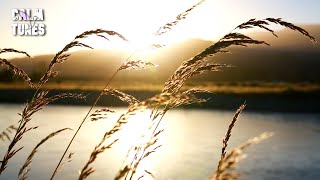 Relaxing Piano Music: Romantic Music, Beautiful Relaxing Music, Sleep Music - Calm Tunes