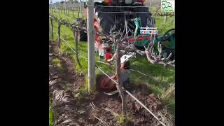 RADIUS D French Plows in Operation || For Orchards & Vineyards || #orchard #vineyard #weeding