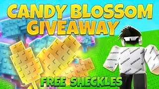 🔴LIVE | GROW A GARDEN GIVEAWAY | 656T+ CANDY BLOSSOM GIVEAWAY !! | 35T+ SHECKLES FOR EVERYONE !