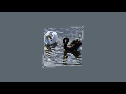 sophie foster. a kotlc playlist