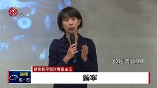 微塑膠垃圾污染海洋 環團籲政府調查 2018-01-17 TITV 原視新聞