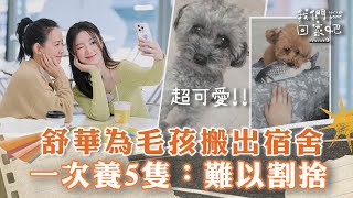 【我們回家吧3】舒華為毛孩搬出i-dle宿舍！自曝"當時很痛苦"選擇養狗拯救自己｜EP7精華