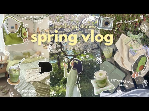 entering my spring arc🌸🍃cherry blossoms, productive days, and lots of matcha