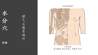 人体穴位313：水分：理气止痛胃病疗，用手指指尖点按水分穴3～5分钟，长期按摩，可改善反胃、胃下垂 20220405