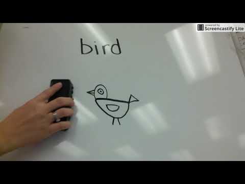 How to draw a bird