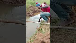 DON'T TOUCH the water😭#yutubeshorts