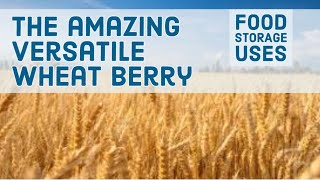 Food Storage: The Amazing Versatile Wheat Berry