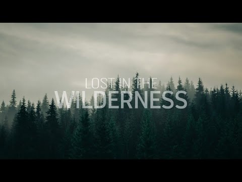 lost in the wilderness - An Indie/Folk/Pop Playlist