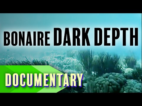 Bonaire: Dark Depth | Full Documentary
