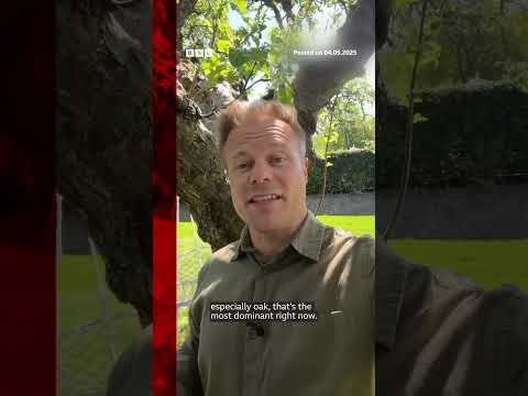 Did you know there are different types of pollen - which affect different people?