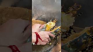 Massive Lobster at Thonburi Seafood Market – Worth It? #streetfood #seafood #lobster