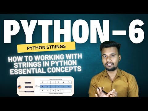 Python String: Full Guidance for Beginner's