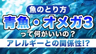 【魚】のとり方。青魚・オメガ3って何がいいの？アレルギーとの関係性。