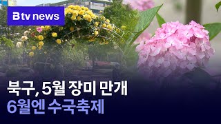 북구, 5월 장미 만개…6월엔 수국축제