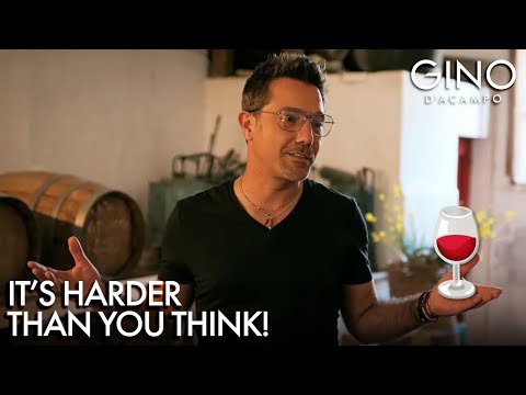 Can Gino Make Wine? 🍷 | Gino D'Acampo