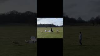 flitetest tiny trainer flyby! #flitetest #aviation #rcflying #rcglider #drone #rcplane #foamboard
