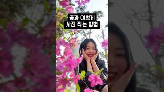 꽃과 사진 이쁘게 찍는 방법🌸