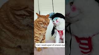 Dress up a cat in a new outfit 😂#cat  #catlover #funny#viral#usa #usa🇺🇸